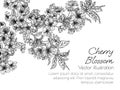 Vector illustration of a branch of cherry blossoms